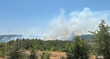 Çanakkale'de orman yangını