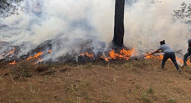 Çanakkale'de orman yangını