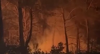 Çanakkale'de orman yangını