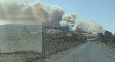 Çanakkale'de orman yangını