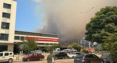 Çanakkale'de orman yangını