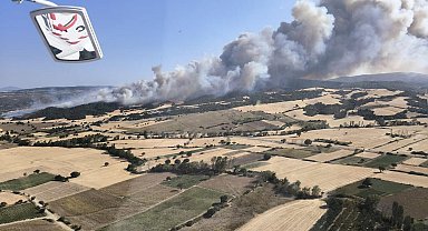 Çanakkale'de orman yangını