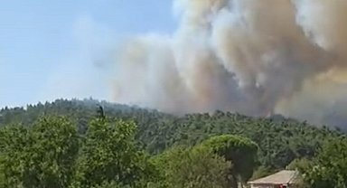 Çanakkale'de orman yangını