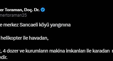 Çanakkale'de orman yangını