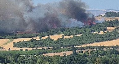 Çanakkale'de orman yangını