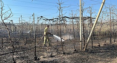 Çanakkale'de tarım arazisinde yangın; 1 sera yandı
