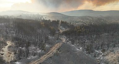 Çanakkale'deki orman yangını 2'nci gününde