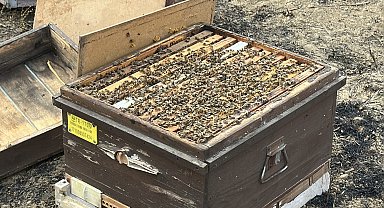 Çanakkale'deki orman yangını 2'nci gününde