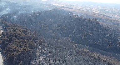 Çanakkale'deki orman yangını ikinci gününde; yanan alanlar ve evler havadan görüntülendi
