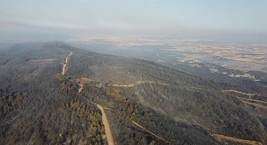 Çanakkale'deki orman yangınında zarar gören alanlar dron ile görüntülendi