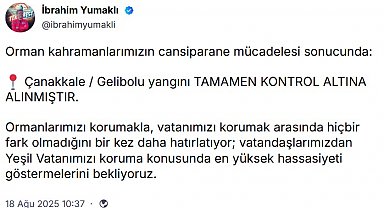 Çanakkale'deki orman yangınında zarar gören alanlar dron ile görüntülendi