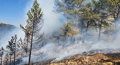 Çankırı'da çıkan orman yangını kontrol altına alındı