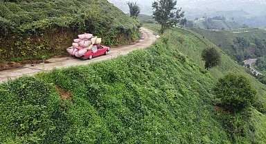 Çay naklinde otomobil 'kamyonet' oldu