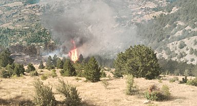 Çorum'da orman yangını kontrol altına alındı
