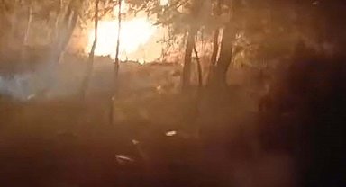 Define ararken ormanı yakan sanıklara 18'er yıla kadar hapis istemi