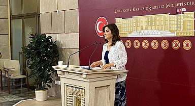 DEM Parti'li Koçyiğit: Komisyon, sürecin hukuksal teminatını sağlamalı