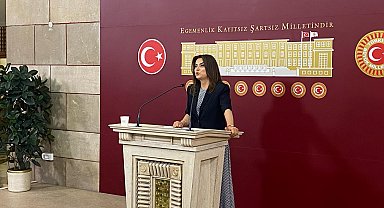 DEM Parti'li Koçyiğit: Komisyonun isminde 'demokrasi' kavramının olmasında ısrarcıyız