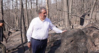 Destici: Ormanlarımızı yakanlar ifşa edilsin