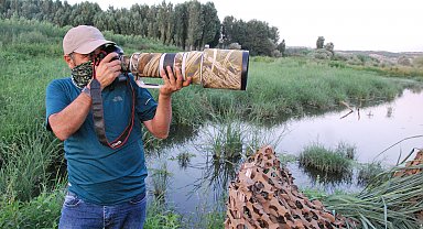 DHA objektifinden Dicle Vadisi yaban hayatı