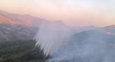 Diyarbakır- Bingöl sınırında orman yangını