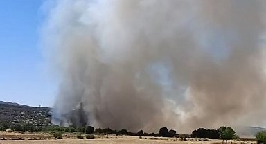 Diyarbakır'da 4 noktada örtü yangını