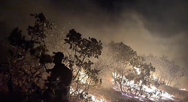 Diyarbakır'da örtü yangını