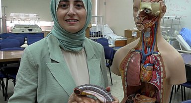 Doç. Dr. Aslan: Bağırsaklarınız sağlıklı olursa bilişsel olarak kendinizi daha iyi hissedersiniz