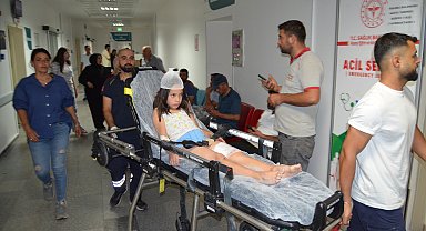 Düğüne giden çocuğu köpek ısırdı