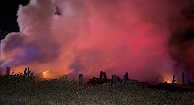 Düzce'de kereste fabrikasında yangın