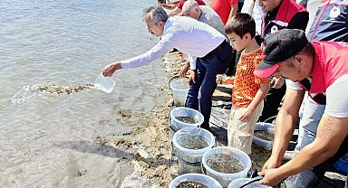 Edirne'de 30 bin yavru sazan gölete bırakıldı