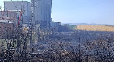 Edirne'de anız yangını; fabrikaya sıçramadan söndürüldü