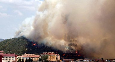 Edirne'de makilikte çıkan yangın, tarlaya sıçradı