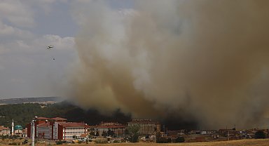 Edirne'de makilikte çıkıp tarlaya sıçrayan yangın kontrol altında