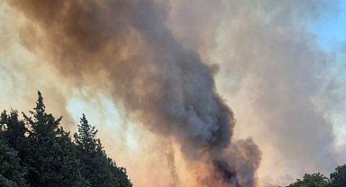 Edirne'de orman yangını