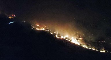 Edirne'de orman yangını