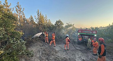 Edirne'deki orman yangını 16 saatte kontrol altına alındı