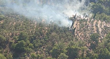 Edremit'te orman yangını