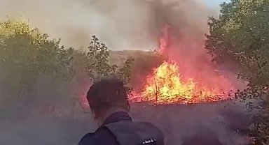 Elazığ'da iki noktada çıkan örtü yangınları söndürüldü