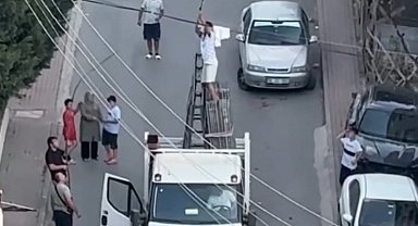 Elektrik kablosuna takılan güvercini kamyonetin kasasına çıkarak kurtardı