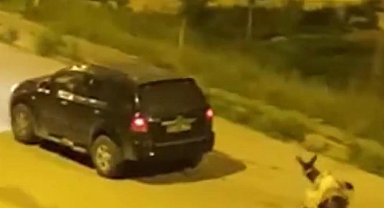 Eşeği otomobilin arkasına bağlayıp sürükleyerek götürenlere ceza