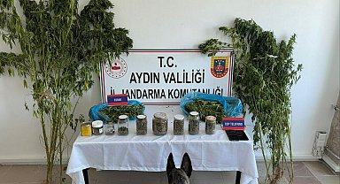 Evinde uyuşturucuyla yakalanıp, tutuklandı