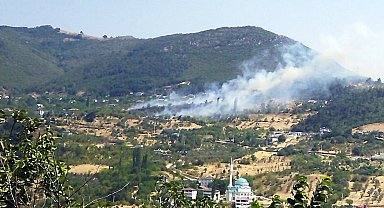 Geyve'deki ot yangını ormana sıçramadan söndürüldü