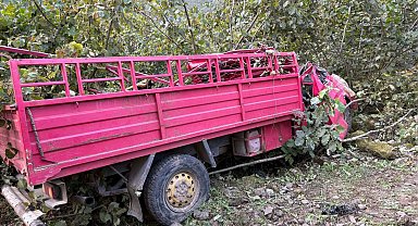 Giresun'da fındık işçilerini taşıyan kamyonet şarampole yuvarlandı: 4 ölü 1 yaralı