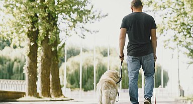 Görme engelli bireyi rehber köpekle sosyal tesise almayan belediyeye para cezası