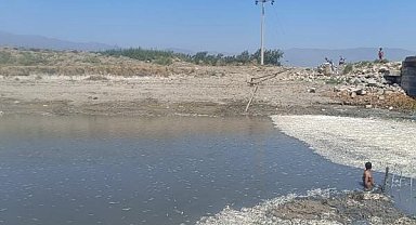 Hatay'da balık ölümleri yaşandı