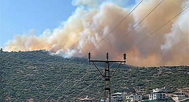 Hatay'da Habib-i Neccar Dağı'nda orman yangını