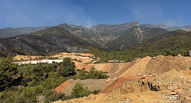Hatay'da orman yangılarına müdahale sürüyor
