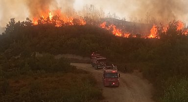 Hatay'da orman yangını ikinci gününde; havadan müdahale başladı