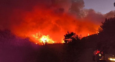 Hatay'da orman yangını