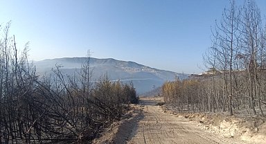 Hatay'daki orman yangını, 16,5 saat sonra kontrol altına alındı